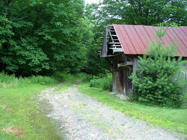 105 Misty Ridge Road Millers Creek, NC 28651 - Photo 13 of 18 a view of a backyard with plants
