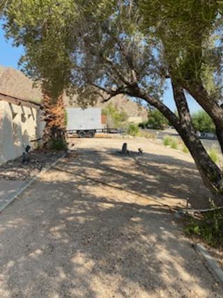 71313 Biskra Road Rancho Mirage, CA 92270 - Photo 3 of 7 a view of yard with large tree