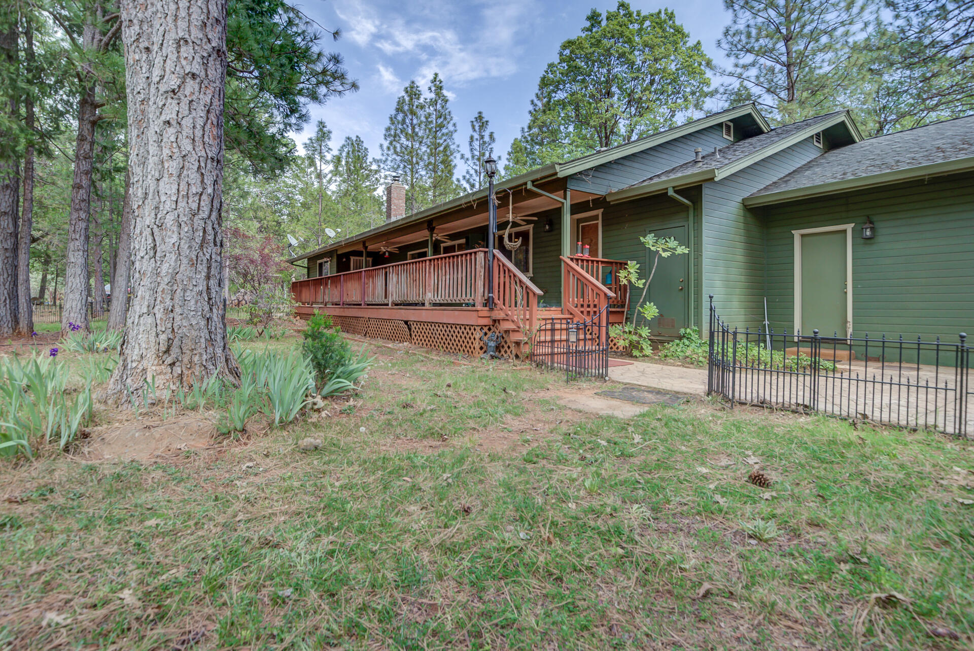 30292 Whitmore Road Whitmore, CA 96096 - Photo 12 of 53 Whitmore-42