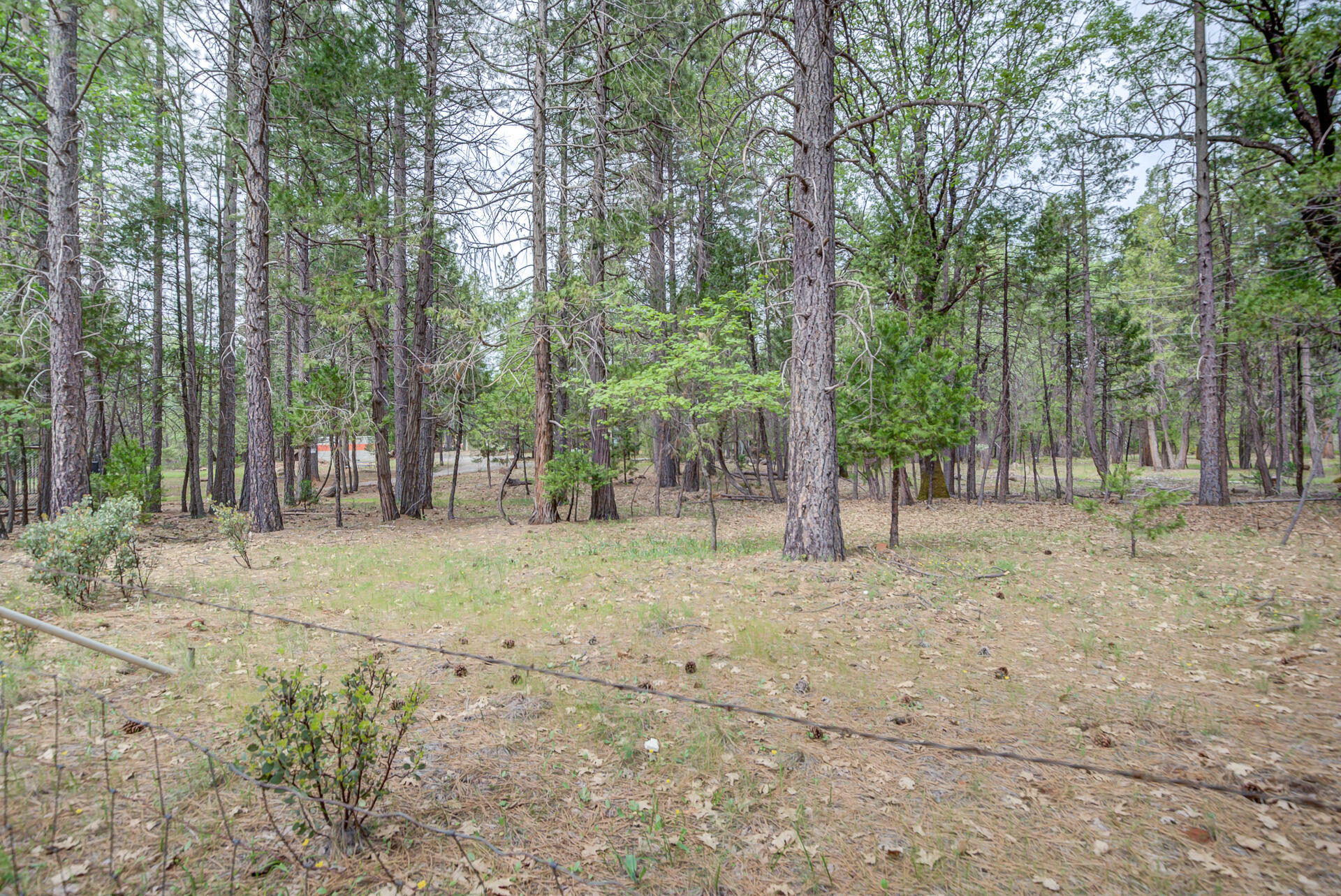 30292 Whitmore Road Whitmore, CA 96096 - Photo 19 of 53 Whitmore-7