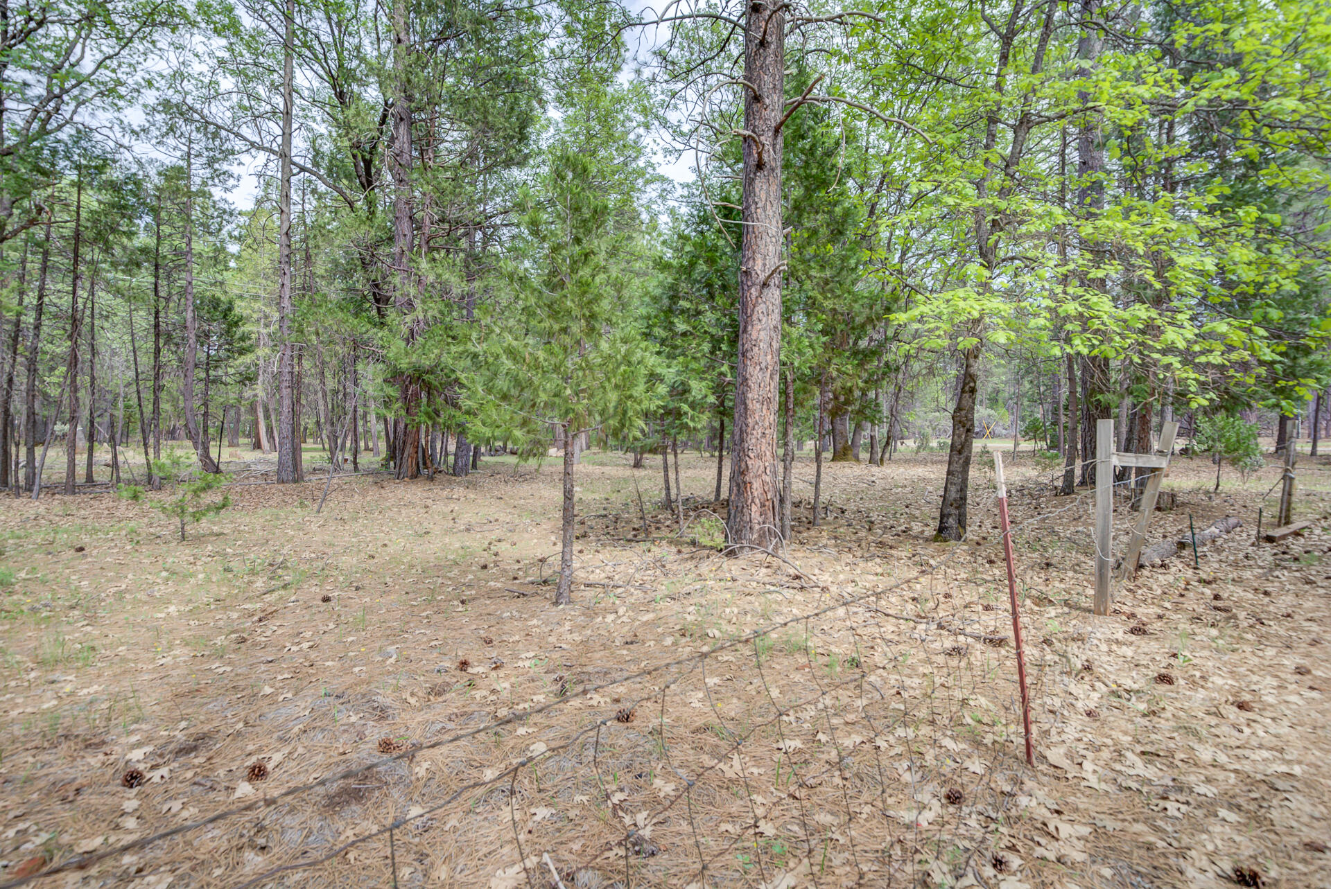 30292 Whitmore Road Whitmore, CA 96096 - Photo 20 of 53 Whitmore-8