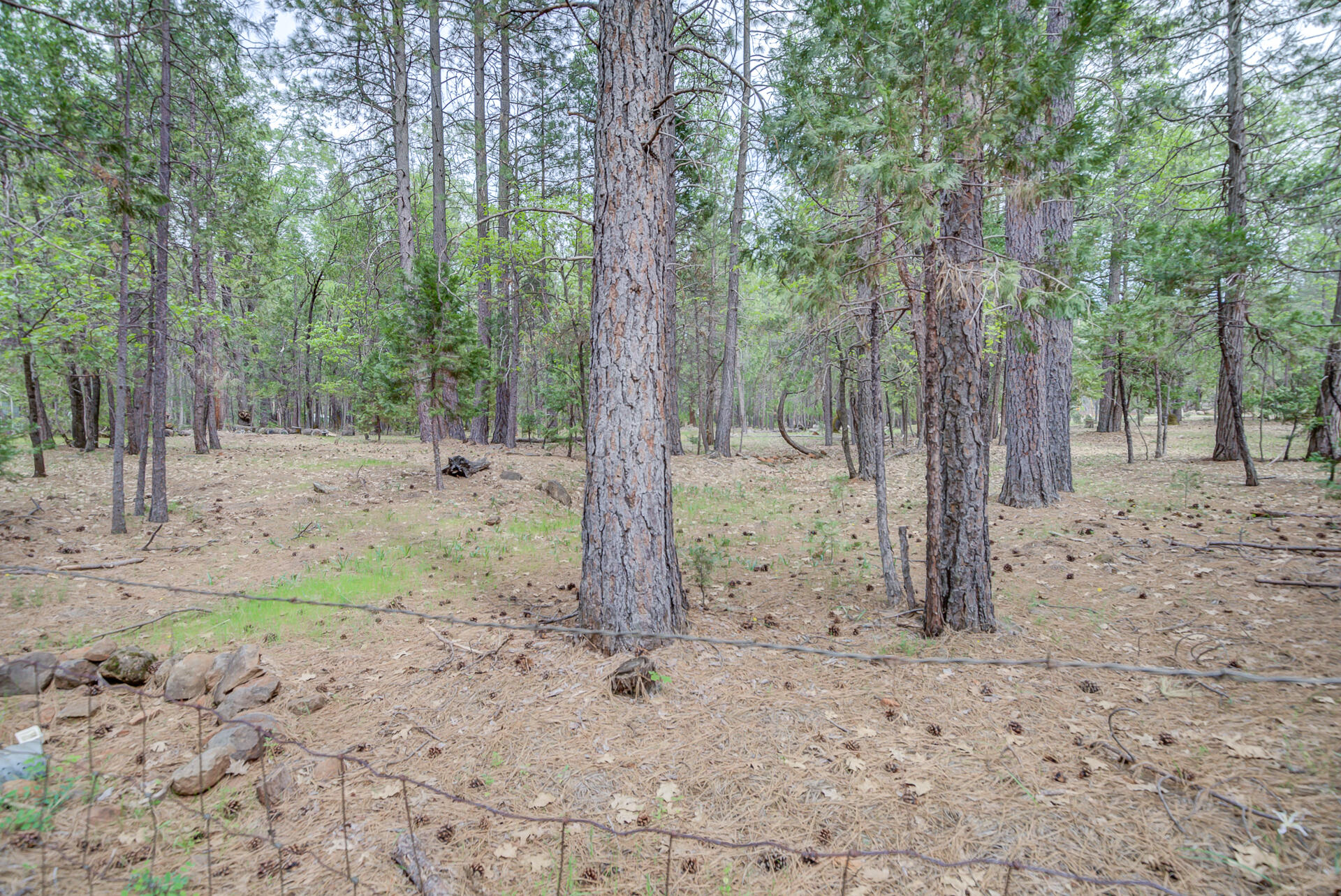 30292 Whitmore Road Whitmore, CA 96096 - Photo 21 of 53 Whitmore-64