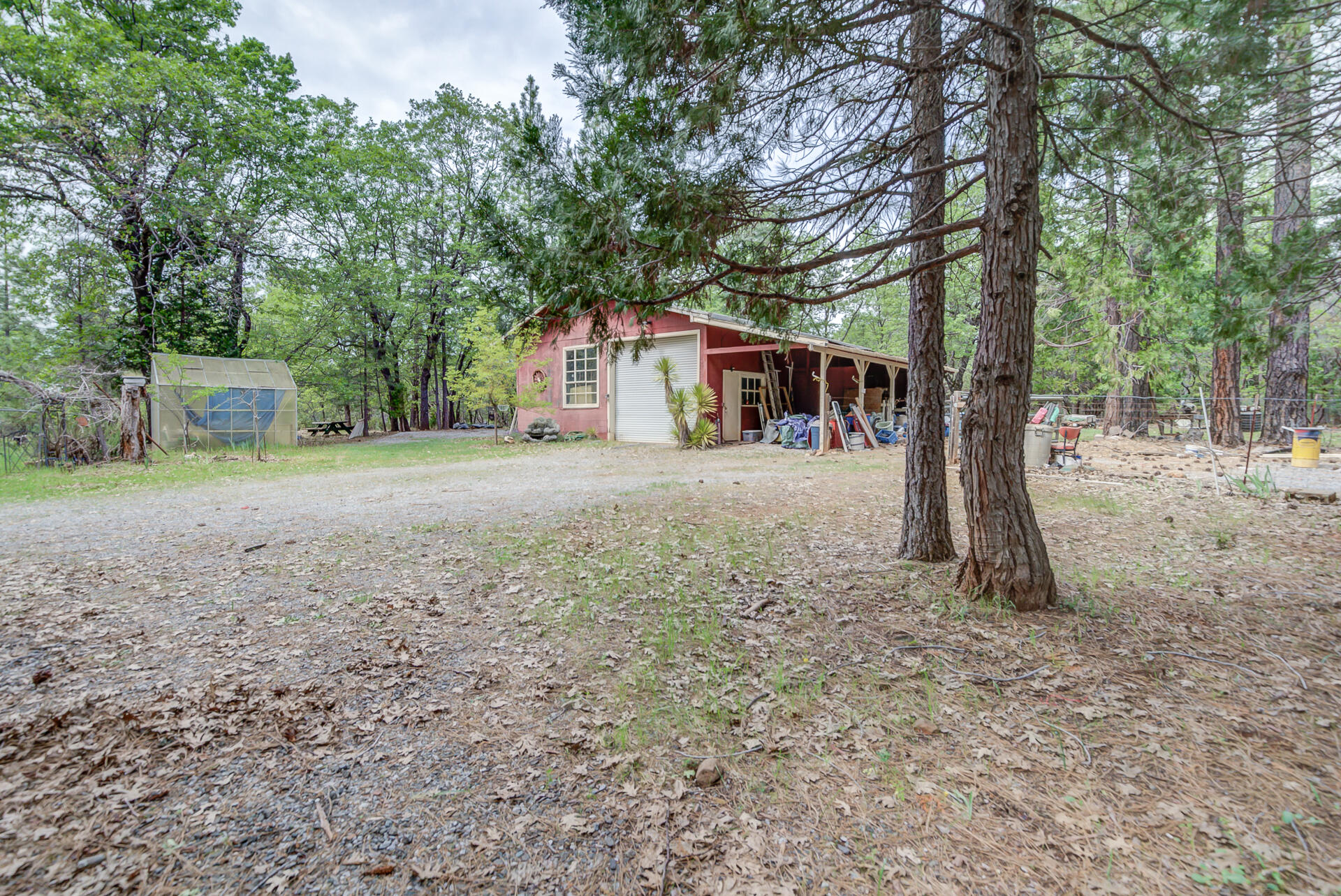 30292 Whitmore Road Whitmore, CA 96096 - Photo 22 of 53 Whitmore-54