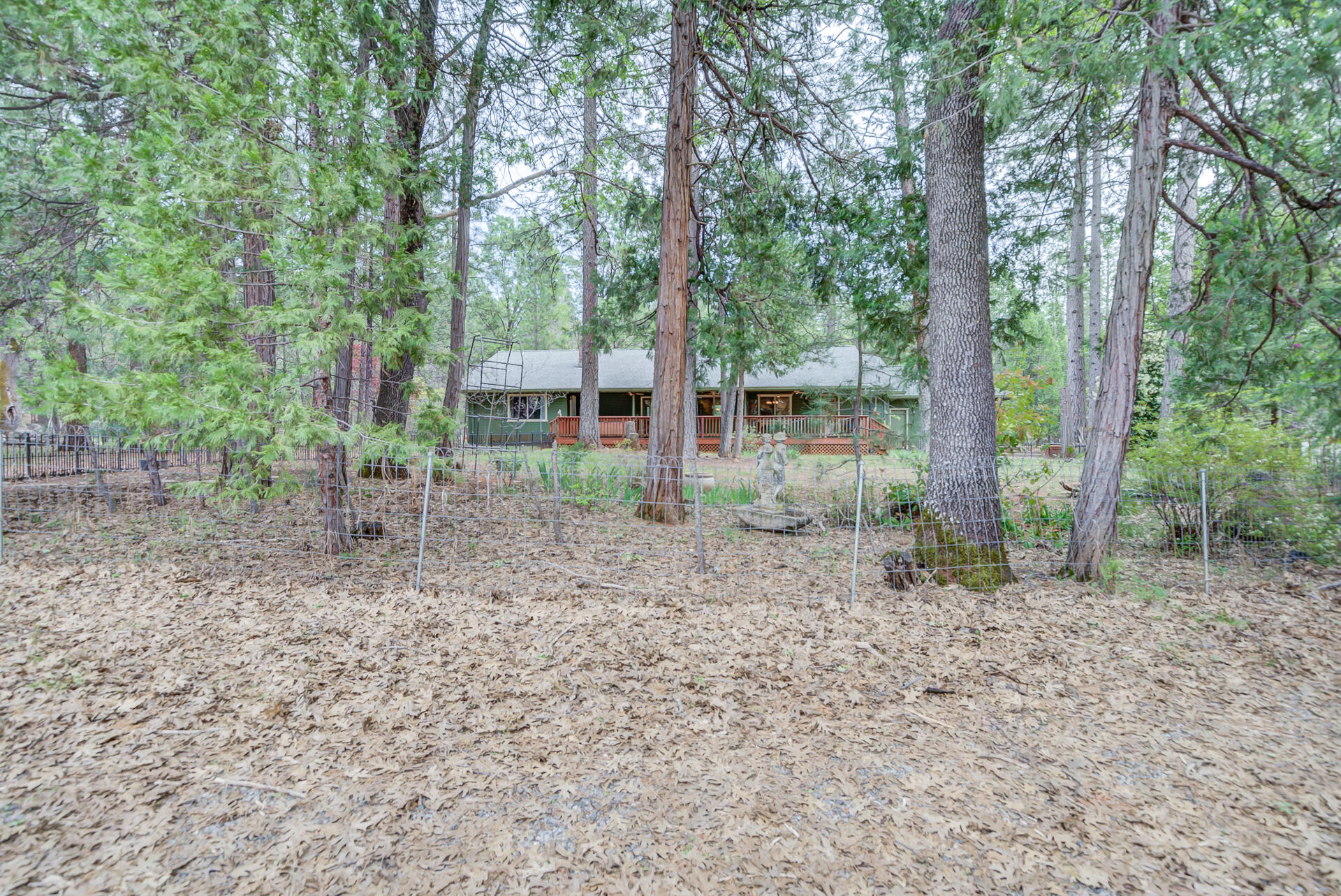 30292 Whitmore Road Whitmore, CA 96096 - Photo 5 of 53 Whitmore-61