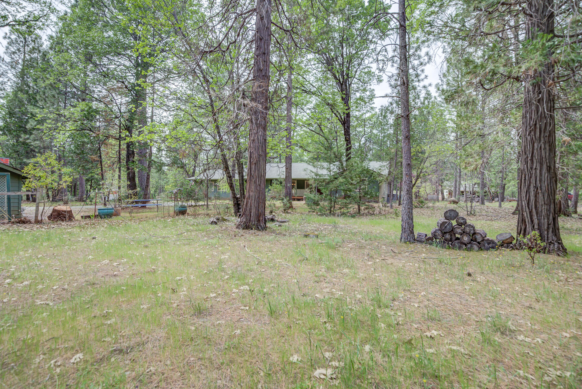 30292 Whitmore Road Whitmore, CA 96096 - Photo 6 of 53 Whitmore-53