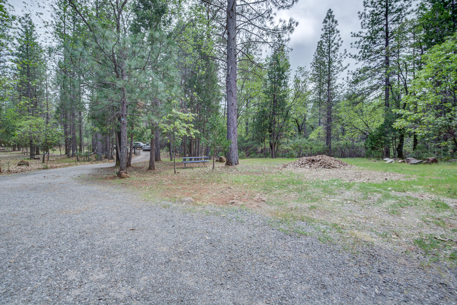 30292 Whitmore Road Whitmore, CA 96096 - Photo 10 of 53 Whitmore-47