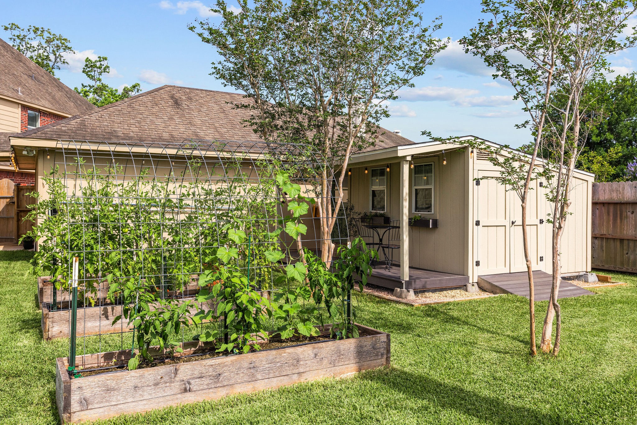 9603 Randon Lane Missouri City, TX 77459 - Photo 41 of 50 Side view of the shed and beds.
