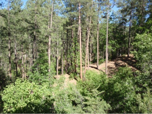 4861 South View Road Prescott, AZ 86303 - Photo 10 of 20 Additional Photo