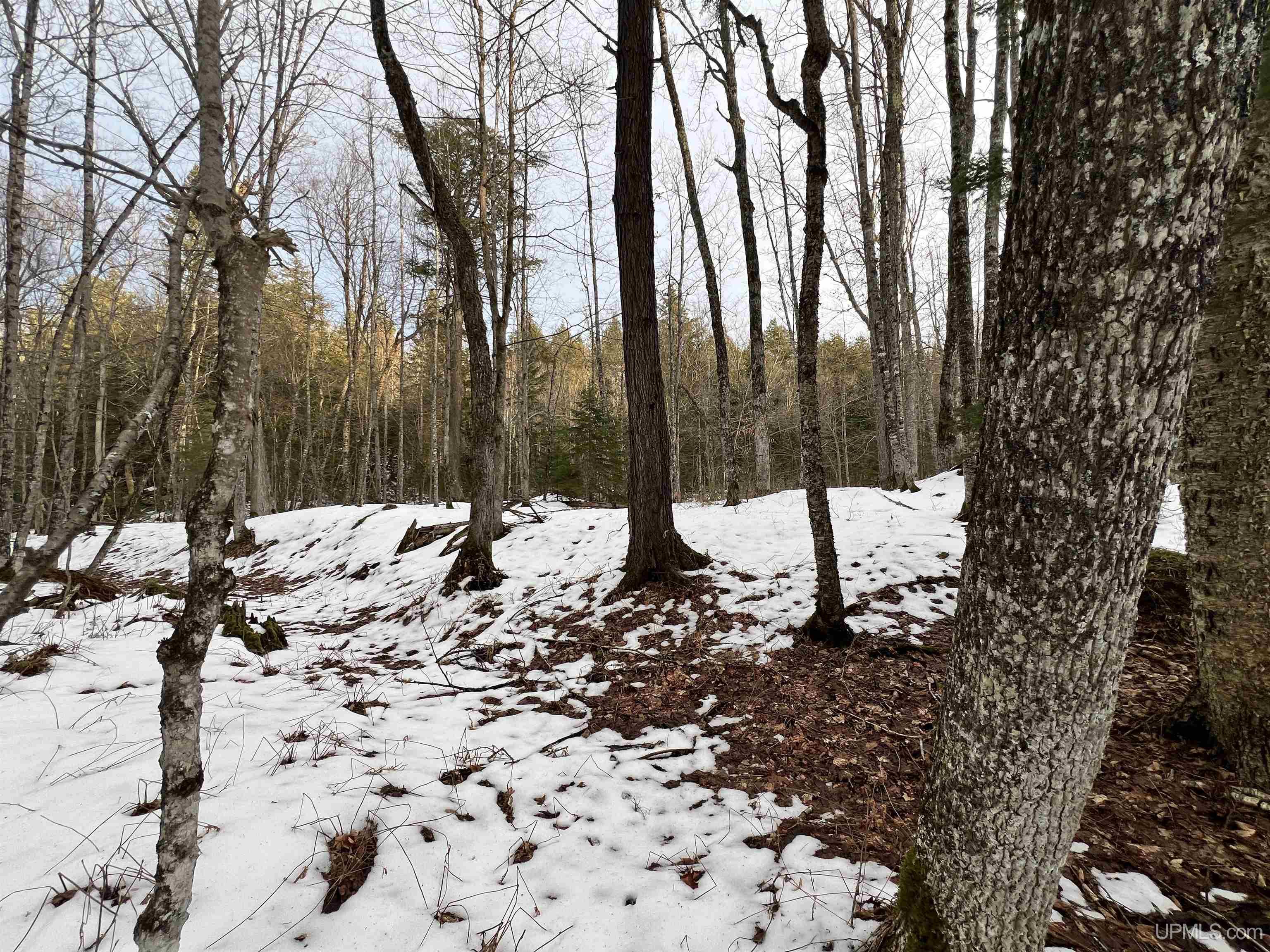 Tbd Erick Road Skanee, MI 49962 - Photo 9 of 34 Gallery Image 9