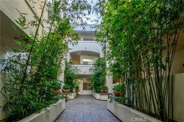 a view of a hallway with potted plants