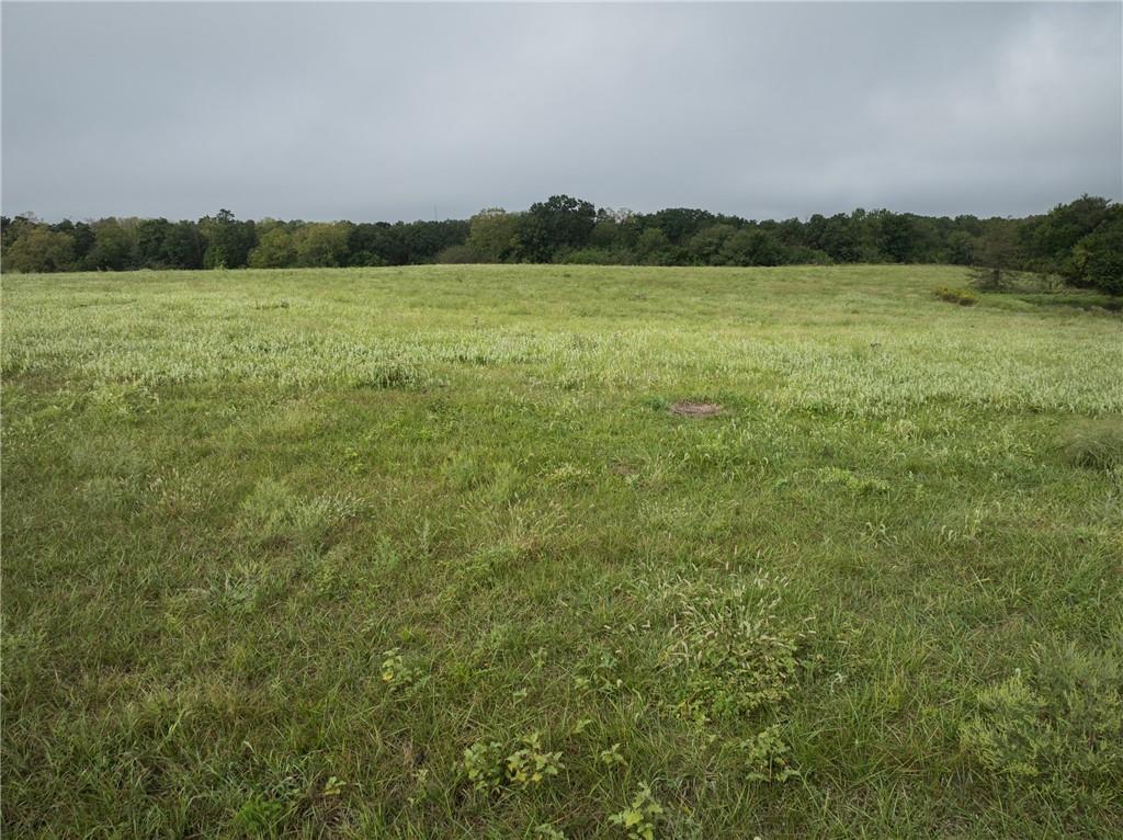 Tbd Southwest 295th Road Holden, MO 64040 - Photo 28 of 33 Gallery Image 28
