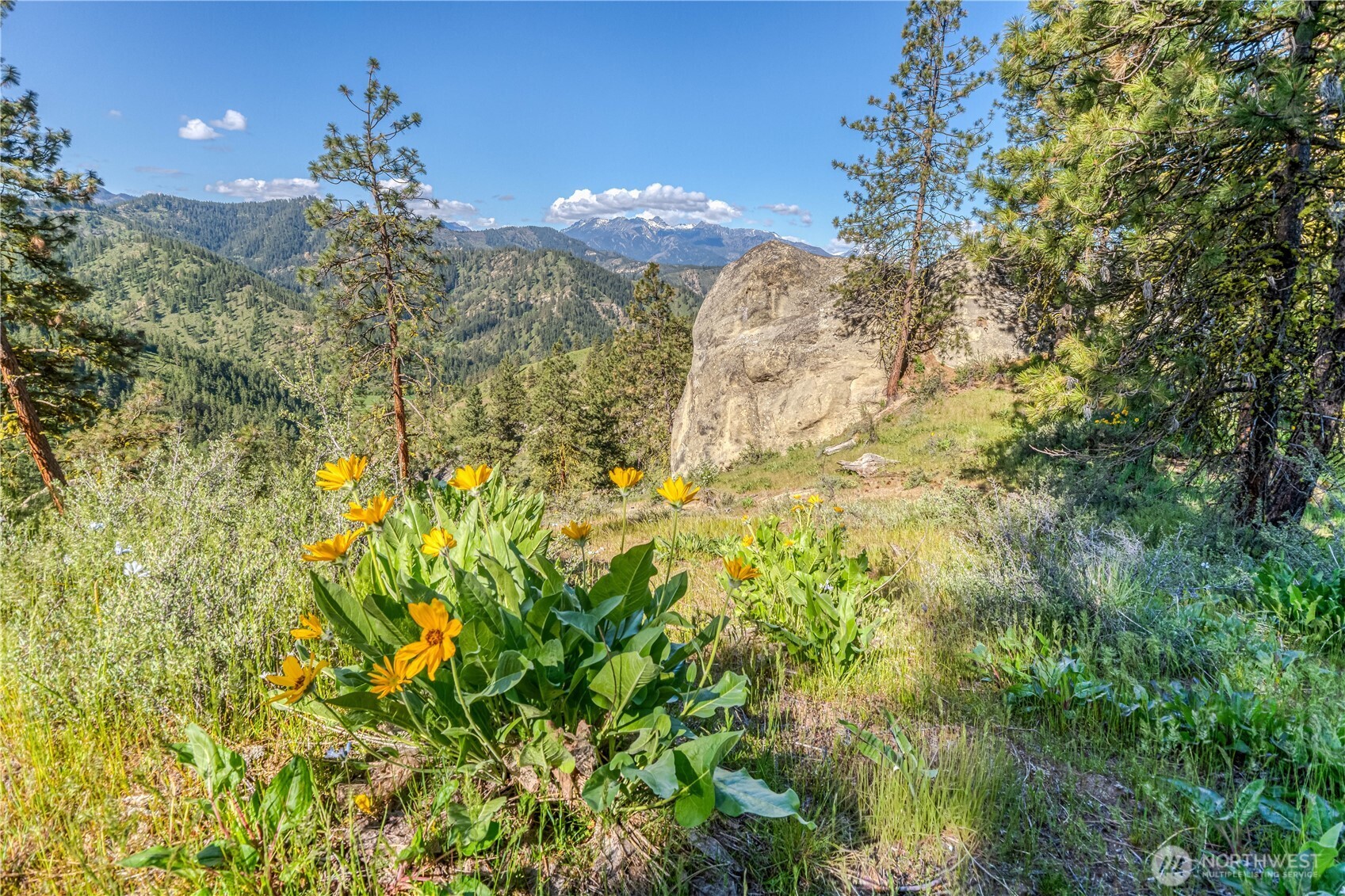 0 Sky Meadows Road Cashmere, WA 98815 - Photo 8 of 40 Gallery Image 8