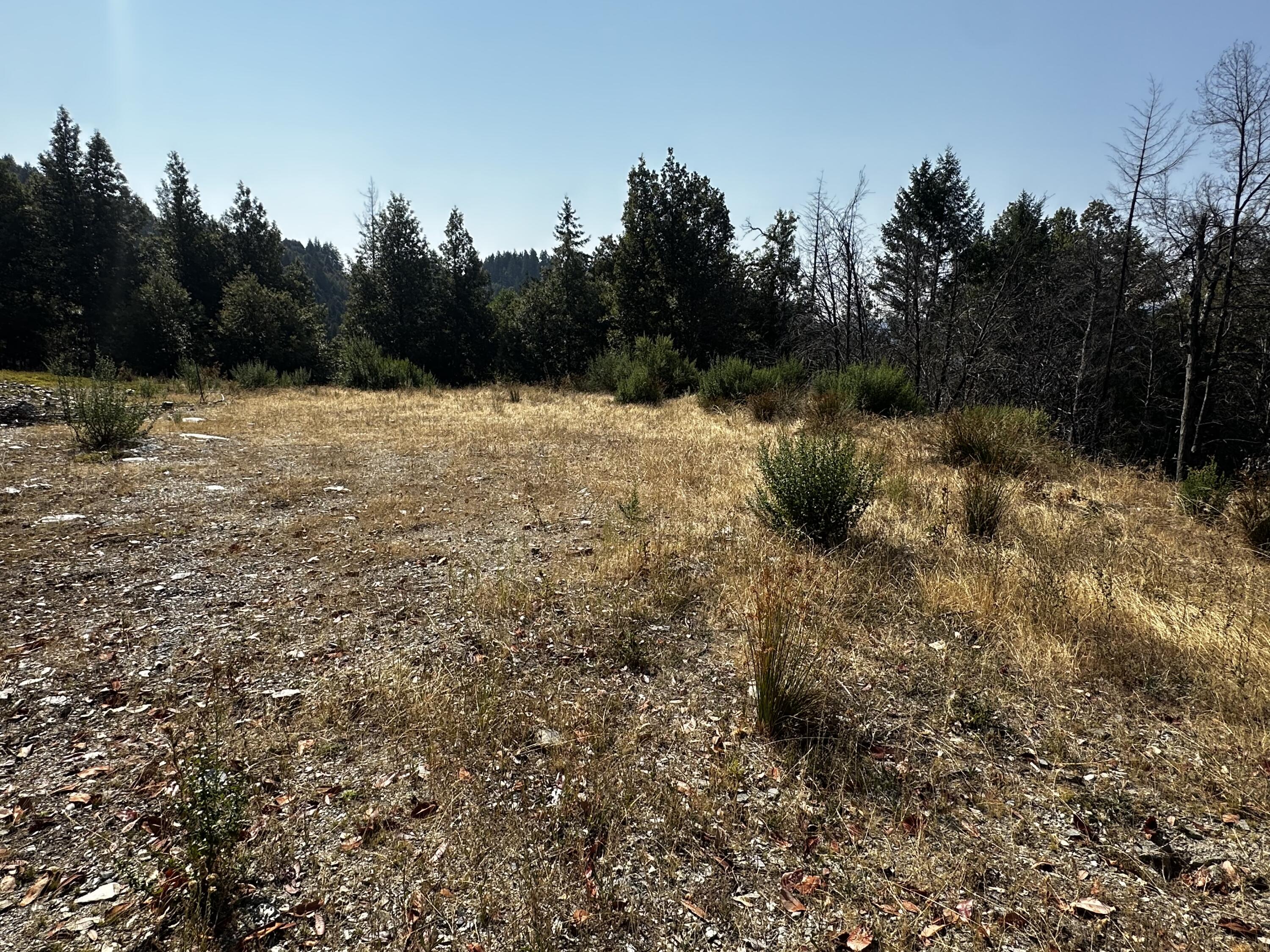 3 Un-named Road Willow Creek, CA 95573 - Photo 4 of 6