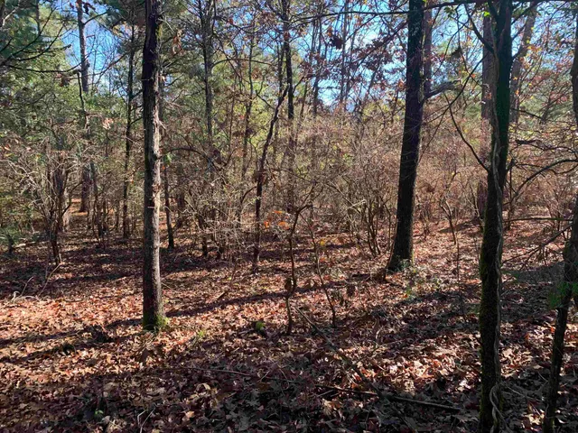 $45,000 | 905 West Cayuga Drive, Athens, TX 75751