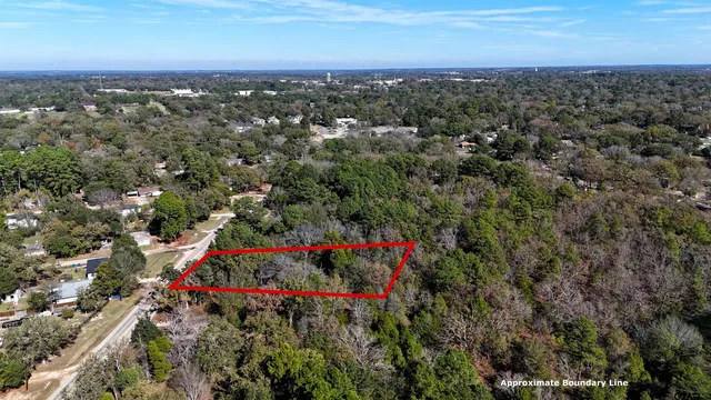a view of yard with trees