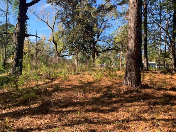 $40,000 | 905 West Cayuga Drive, Athens, TX 75751