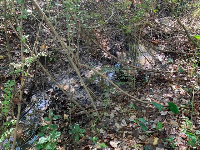 a view of backyard space