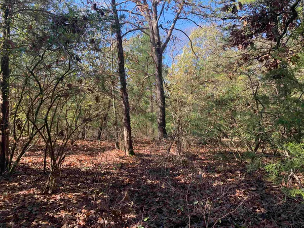 $40,000 | 905 West Cayuga Drive, Athens, TX 75751