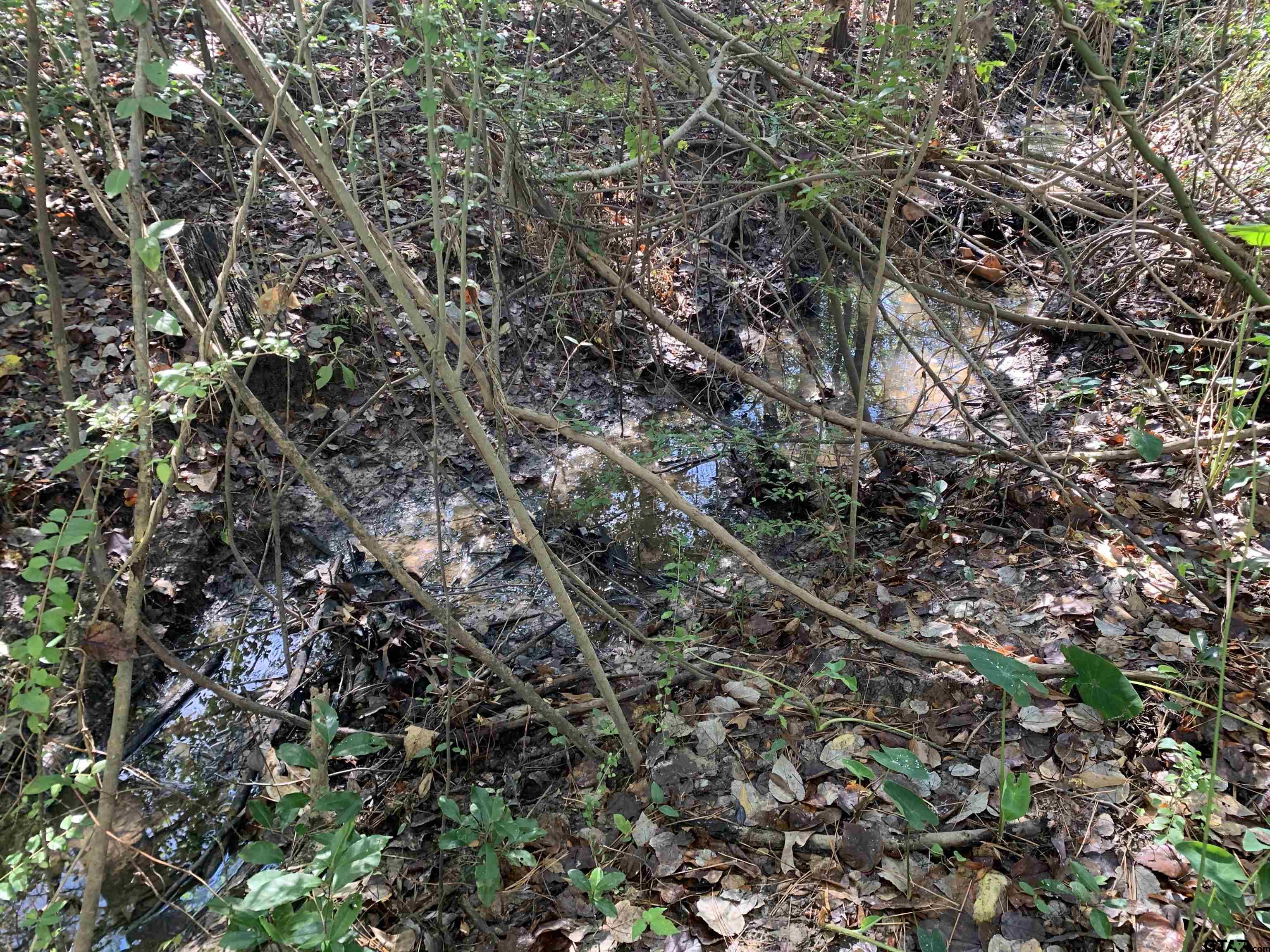 905 West Cayuga Drive Athens, TX 75751 - Photo 7 of 11