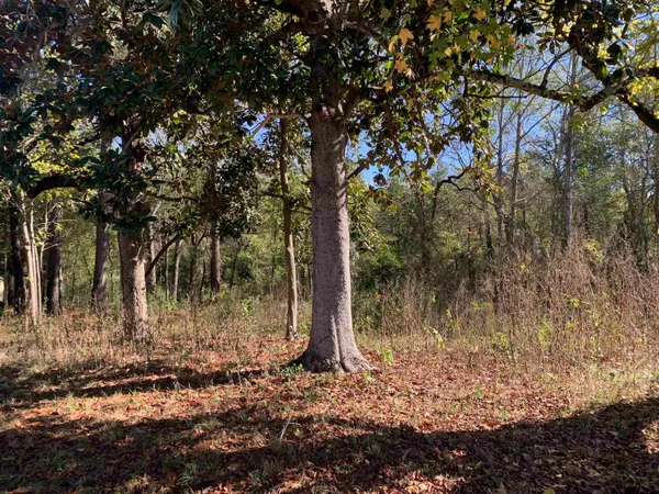 $40,000 | 905 West Cayuga Drive, Athens, TX 75751