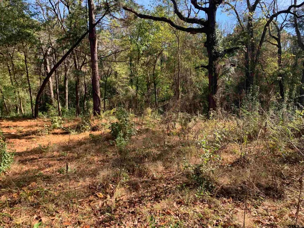 $40,000 | 905 West Cayuga Drive, Athens, TX 75751