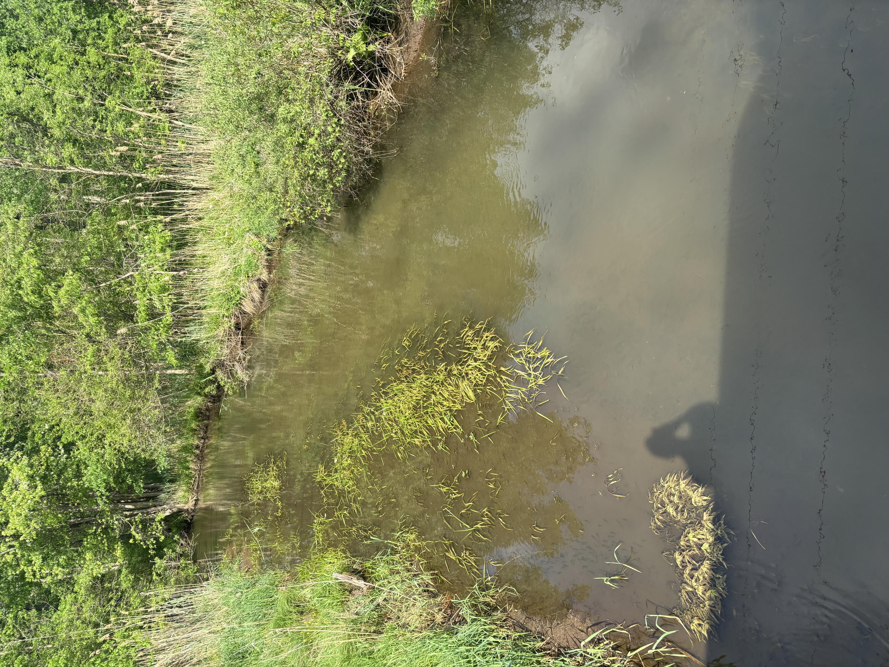 V/l Marshall Road Tekonsha, MI 49092 - Photo 1 of 15 Creek