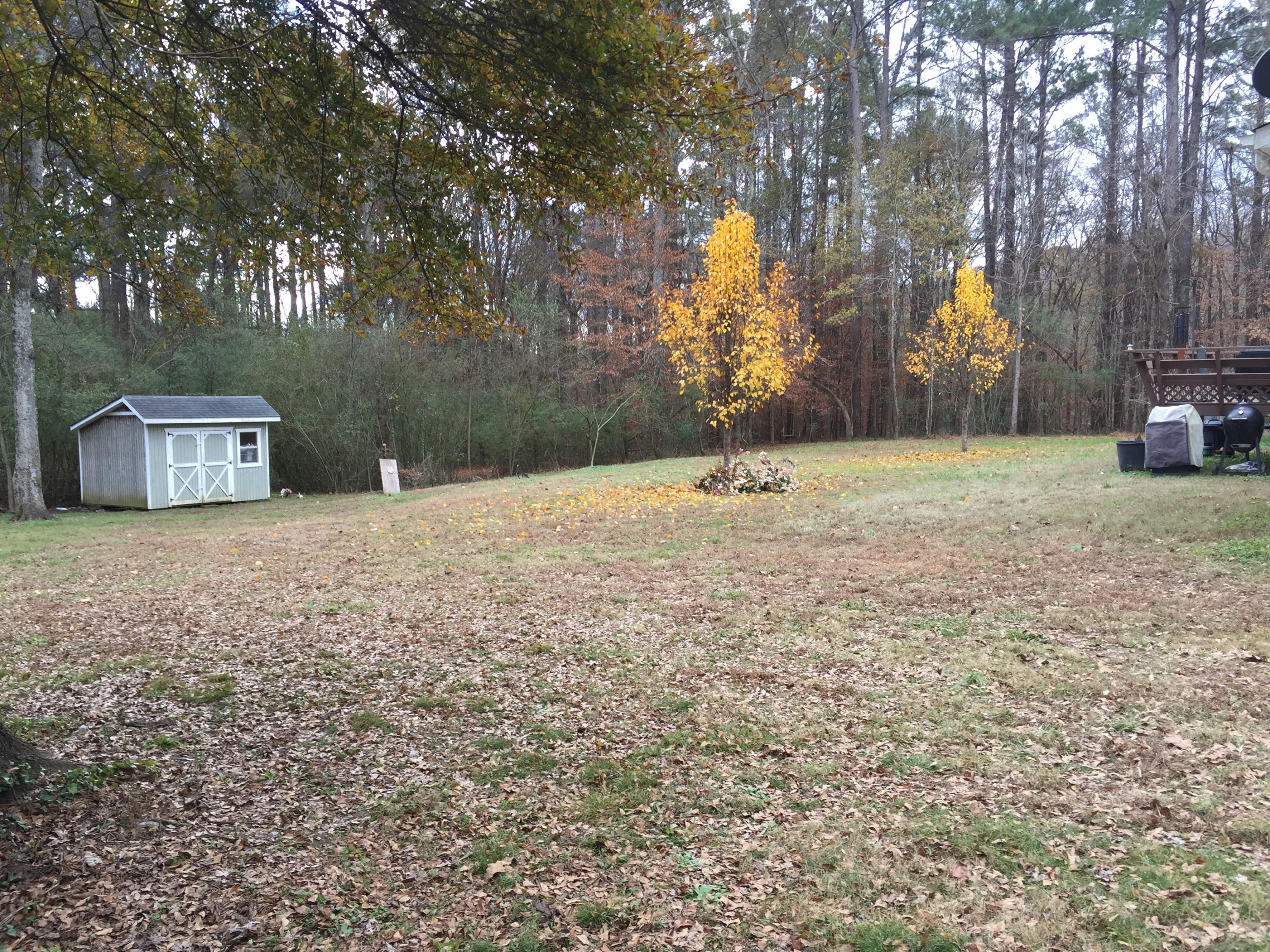 3264 Underwood Road Northeast Dalton, GA 30721 - Photo 45 of 52 IMG_0186