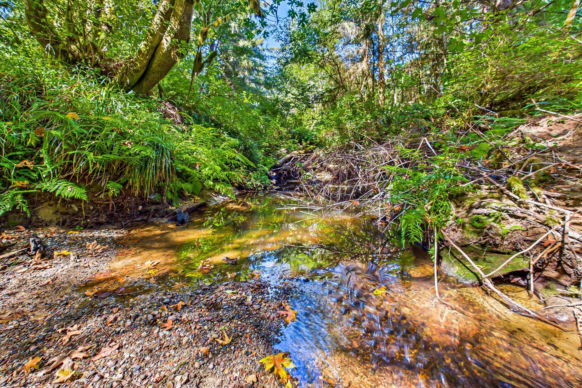 3924 Old Railroad Grade Road McKinleyville, CA 95521 - Photo 57 of 71 57-3924 Old Railroad-150