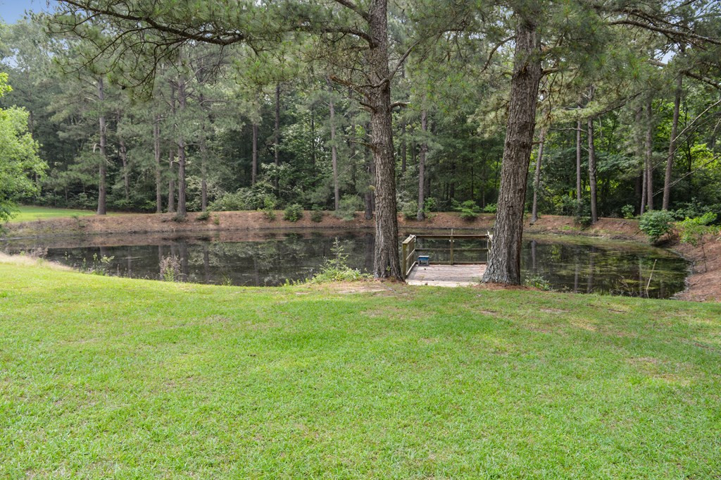 664 Holmesville Road Jayess, MS 39641 - Photo 18 of 53 Photo 18