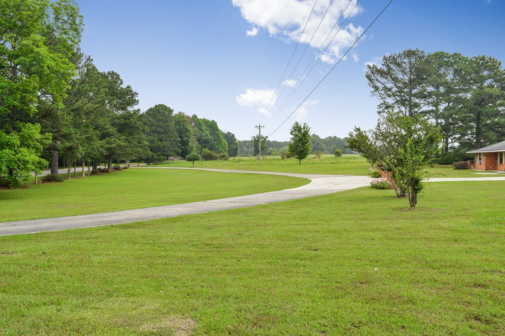 664 Holmesville Road Jayess, MS 39641 - Photo 5 of 53 Photo 5