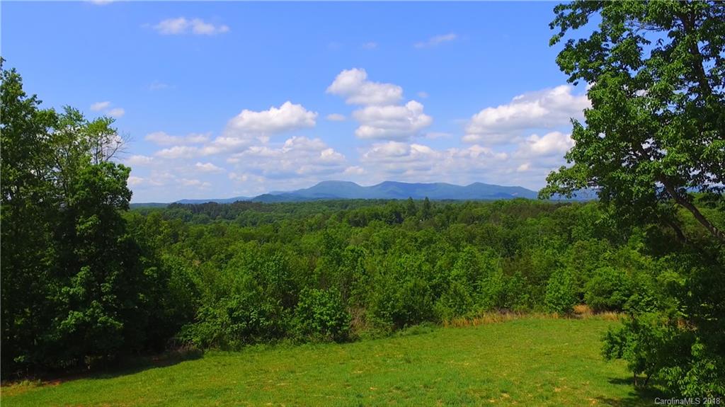 2290 Red Fox Road Tryon, NC 28782 - Photo 3 of 36 a view of a bunch of trees and a yard