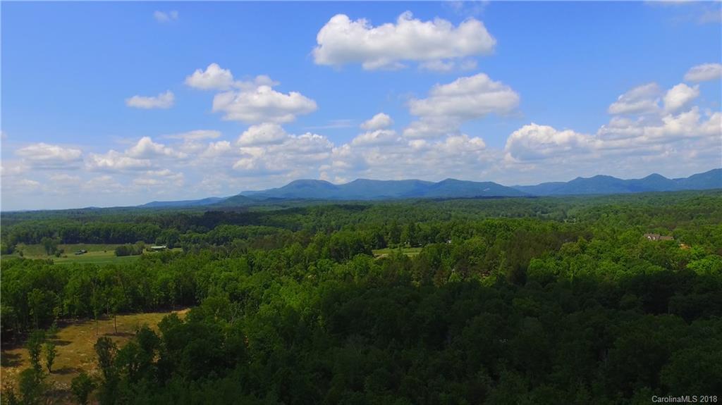 2290 Red Fox Road Tryon, NC 28782 - Photo 8 of 36 a view of city and green space