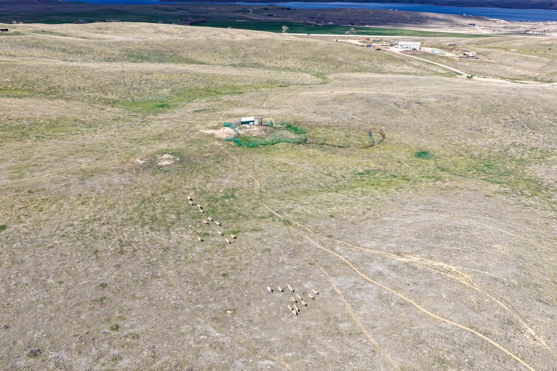 0 Lake Ridge Road Buffalo, WY 82834 - Photo 21 of 50
