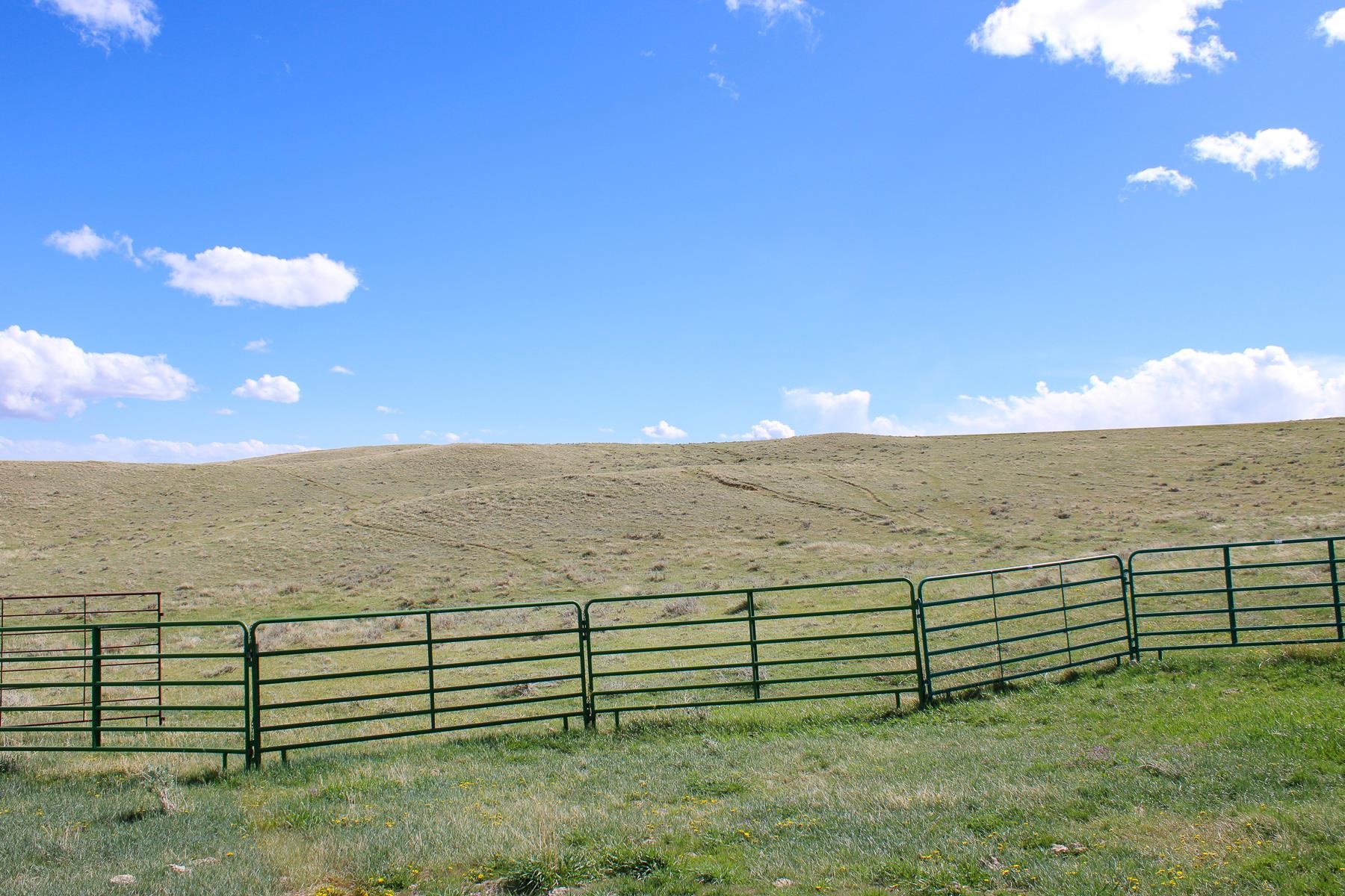 0 Lake Ridge Road Buffalo, WY 82834 - Photo 34 of 50