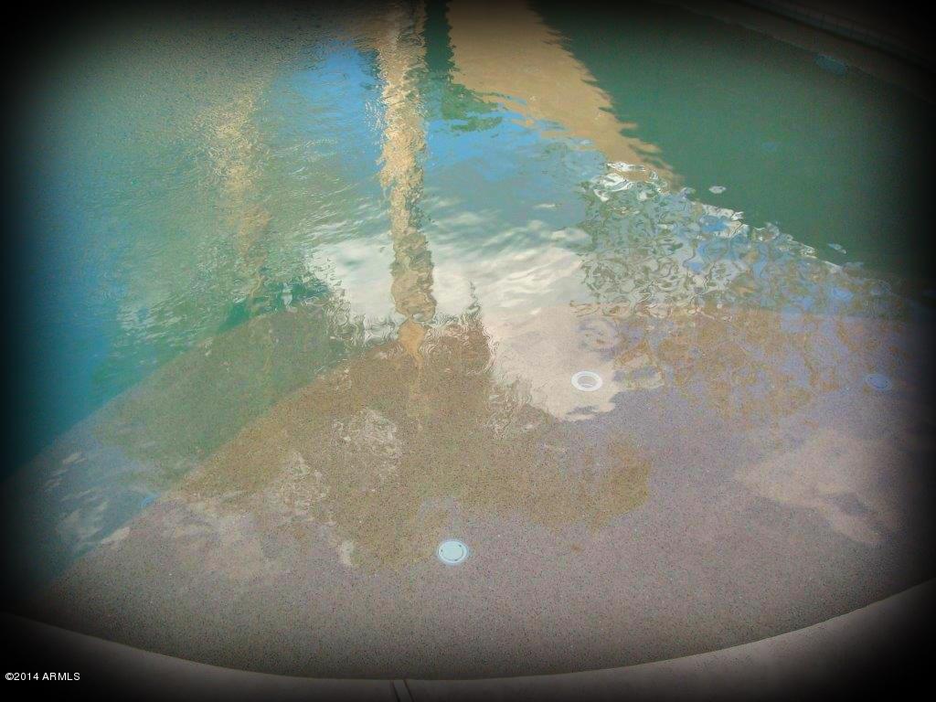 3722 East Kimball Road Gilbert, AZ 85297 - Photo 41 of 63 Salt water pool with baja shelf