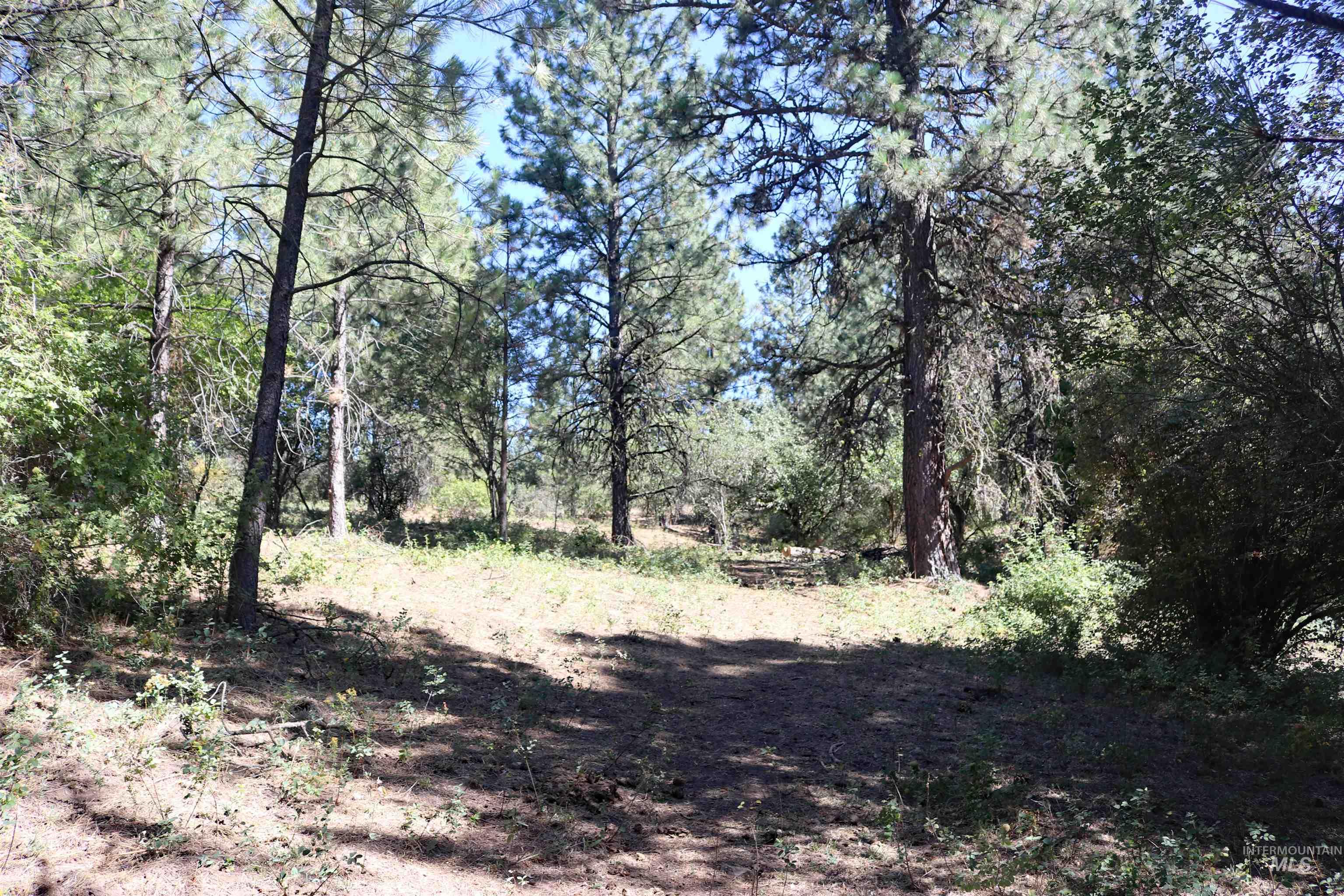 37596 Eberhardt Road Lenore, ID 83541 - Photo 35 of 48