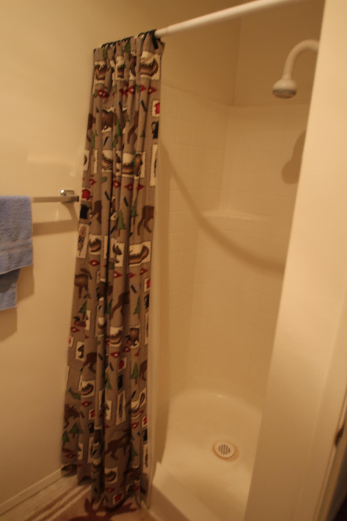 603 Legar Drive Springville, CA 93265 - Photo 23 of 46 Hall shower