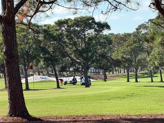 a park with lots of trees and plants