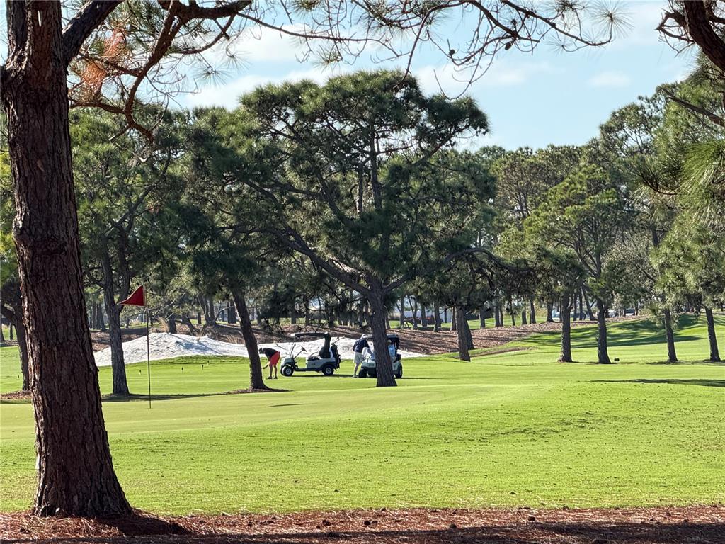 a park with lots of trees and plants