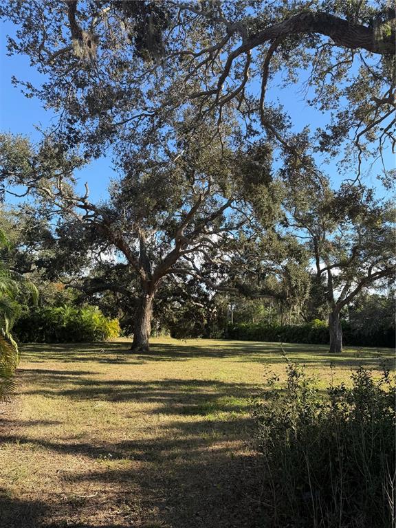 841 Indian Rocks Road Belleair, FL 33756 - Photo 6 of 7 a view of outdoor space with hardwood
