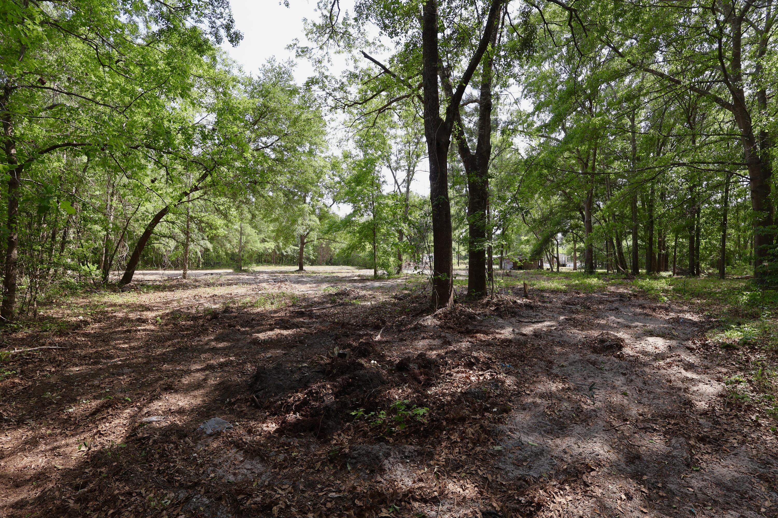 0 Mill Pond Road Dorchester, SC 29437 - Photo 4 of 12