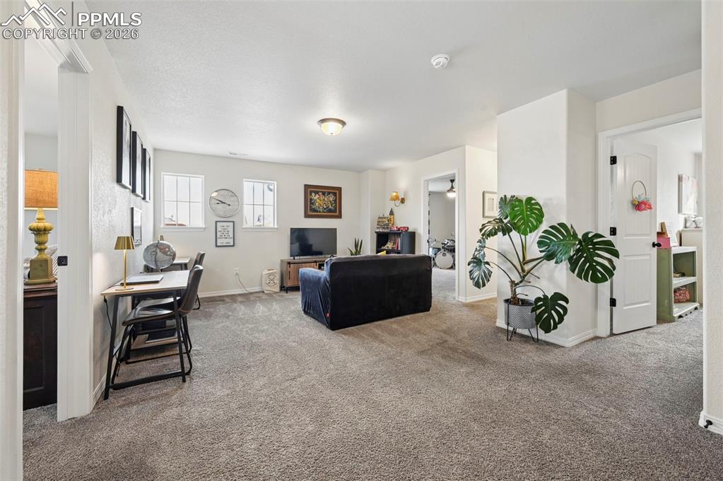 7802 Berwyn Loop Peyton, CO 80831 - Photo 19 of 47