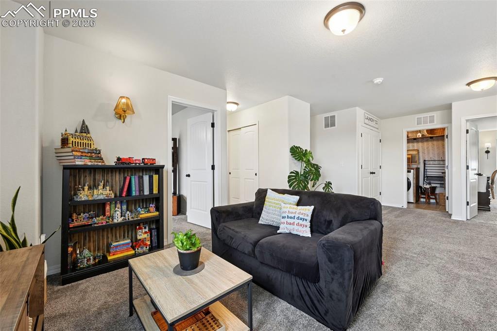 7802 Berwyn Loop Peyton, CO 80831 - Photo 20 of 47