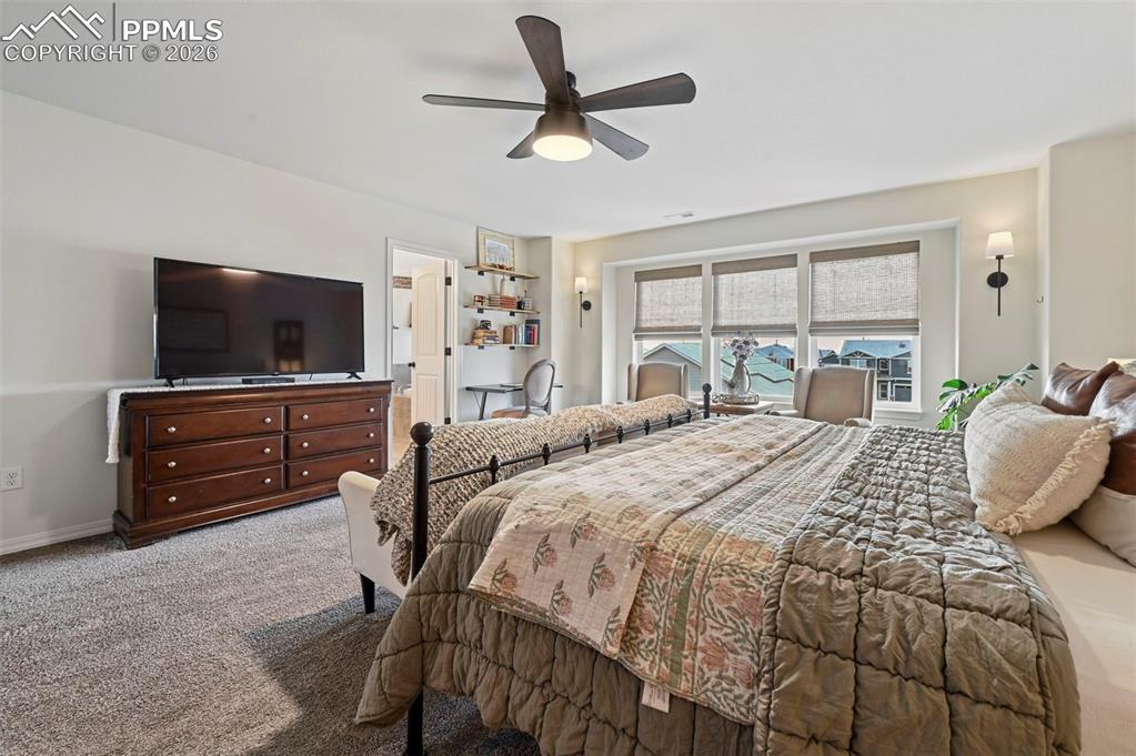 7802 Berwyn Loop Peyton, CO 80831 - Photo 23 of 47