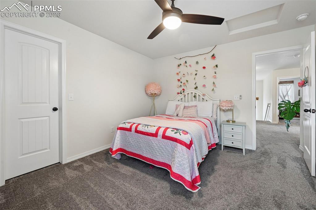 7802 Berwyn Loop Peyton, CO 80831 - Photo 37 of 47