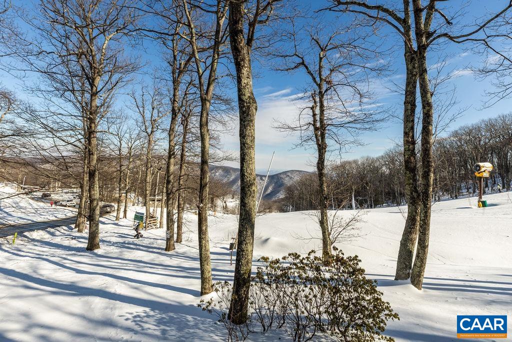 105 Eagles Court Wintergreen, VA 22967 - Photo 25 of 47 a view of a yard with a tree