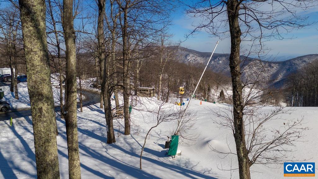 105 Eagles Court Wintergreen, VA 22967 - Photo 3 of 47 a view of a outdoor space