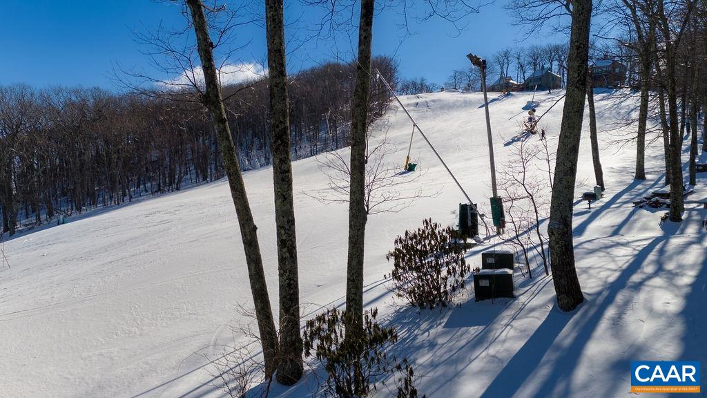 105 Eagles Court Wintergreen, VA 22967 - Photo 42 of 47
