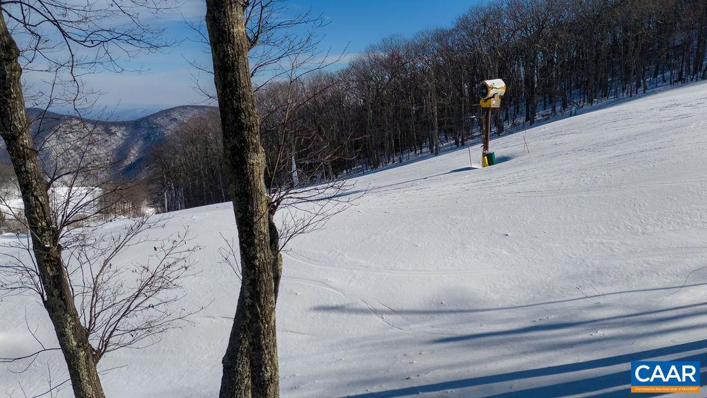 105 Eagles Court Wintergreen, VA 22967 - Photo 43 of 47 a view of a backyard of a house