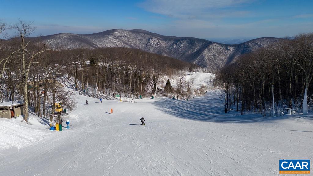 105 Eagles Court Wintergreen, VA 22967 - Photo 45 of 47 a view of water slide